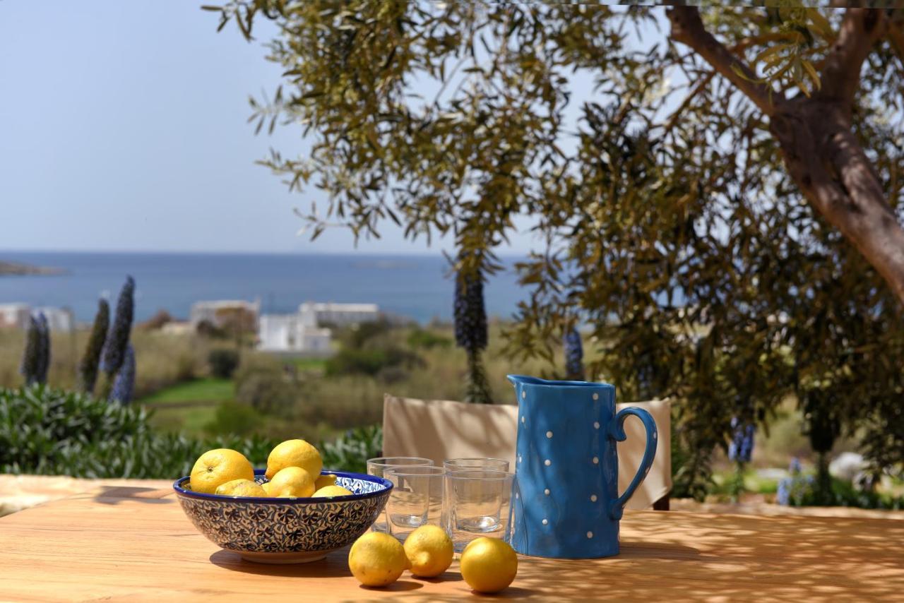 Good Life Greece Eco Villas Posidhonia  Bagian luar foto