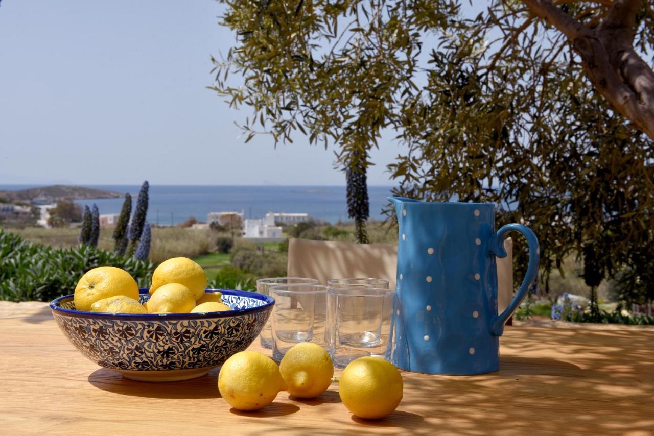 Good Life Greece Eco Villas Posidhonia  Bagian luar foto