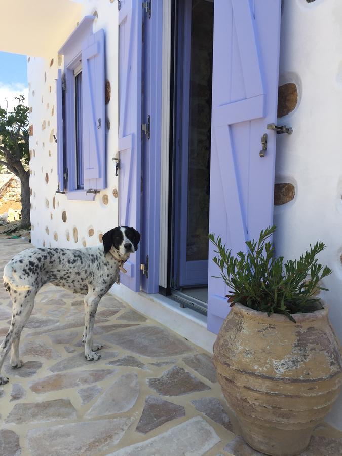 Good Life Greece Eco Villas Posidhonia  Bagian luar foto