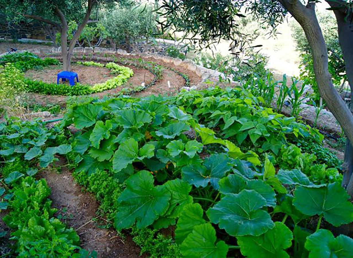 Good Life Greece Eco Villas Posidhonia  Bagian luar foto